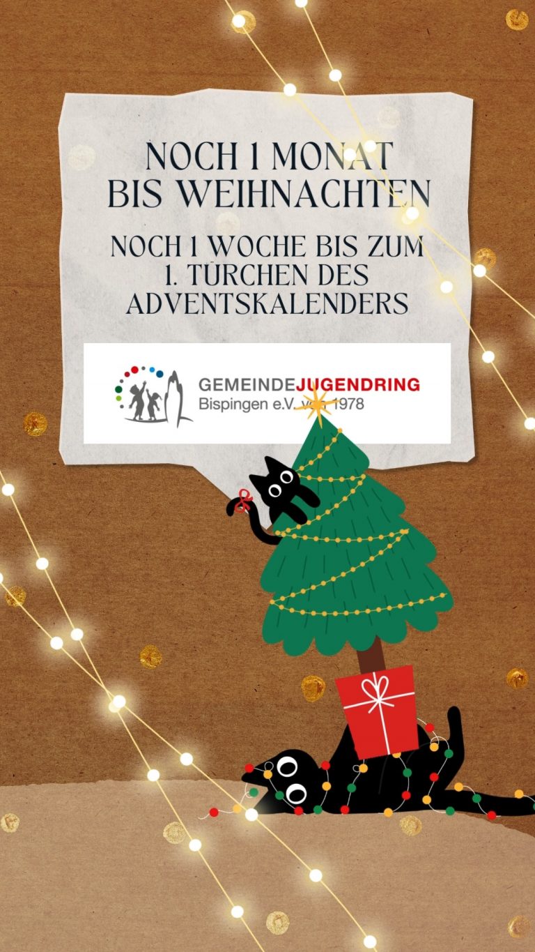 Instagram post from gemeindejugendring.bispingen. This post is in position 1.